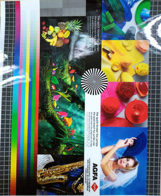 ราคาดี ความยาว 200-4000m PET EVA Packaging Film 22 miu ความสว่างแมท/กระจ่างสําหรับผลงานการบรรจุที่ดีกว่า ออนไลน์